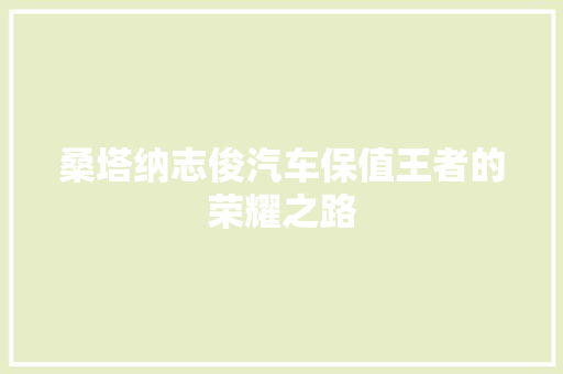 桑塔纳志俊汽车保值王者的荣耀之路