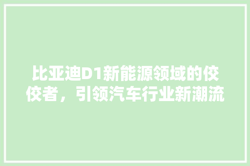 比亚迪D1新能源领域的佼佼者，引领汽车行业新潮流