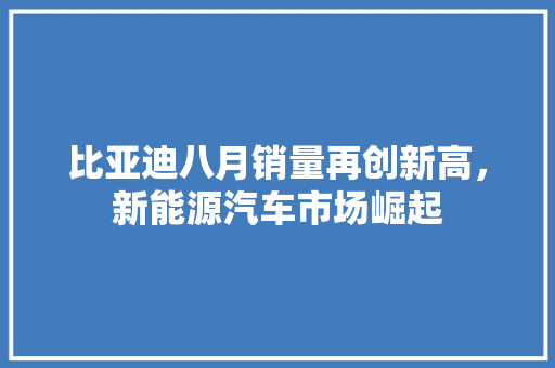 比亚迪八月销量再创新高，新能源汽车市场崛起