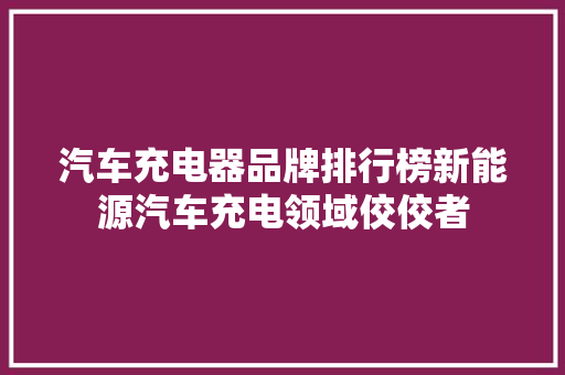 汽车充电器品牌排行榜新能源汽车充电领域佼佼者