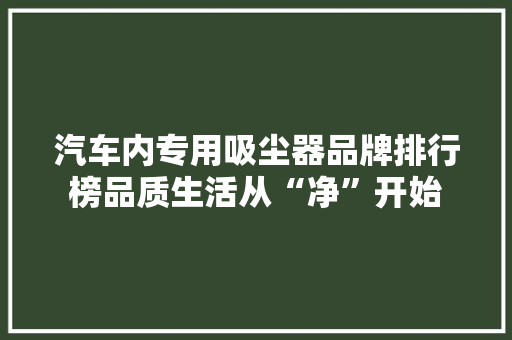 汽车内专用吸尘器品牌排行榜品质生活从“净”开始