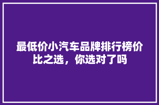 最低价小汽车品牌排行榜价比之选，你选对了吗