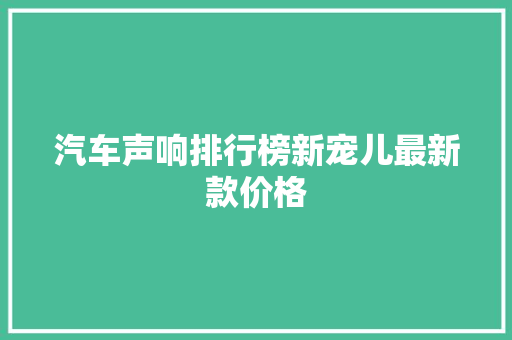 汽车声响排行榜新宠儿最新款价格