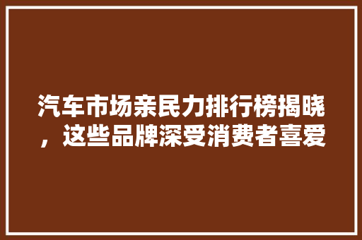汽车市场亲民力排行榜揭晓，这些品牌深受消费者喜爱