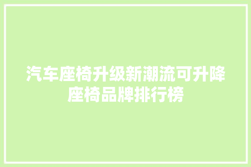 汽车座椅升级新潮流可升降座椅品牌排行榜