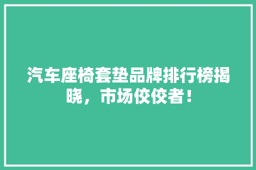 汽车座椅套垫品牌排行榜揭晓，市场佼佼者！