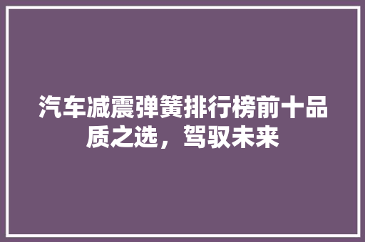汽车减震弹簧排行榜前十品质之选，驾驭未来