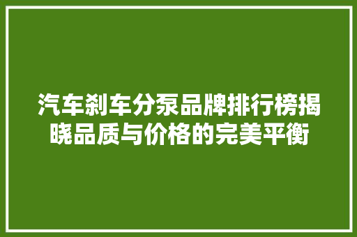 汽车刹车分泵品牌排行榜揭晓品质与价格的完美平衡