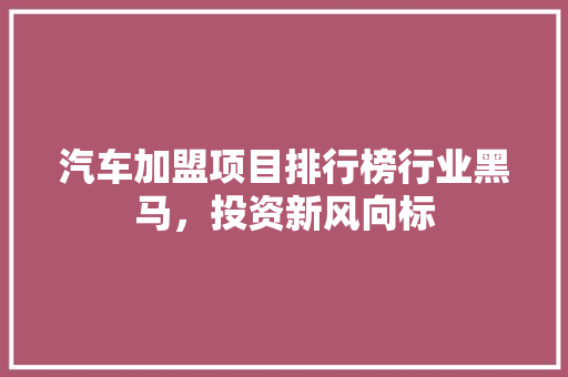 汽车加盟项目排行榜行业黑马，投资新风向标