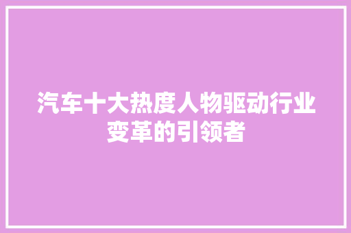 汽车十大热度人物驱动行业变革的引领者