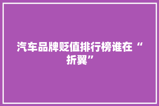 汽车品牌贬值排行榜谁在“折翼”