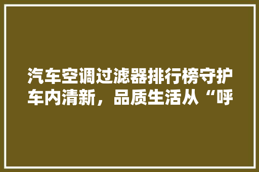 汽车空调过滤器排行榜守护车内清新，品质生活从“呼吸”开始