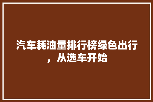 汽车耗油量排行榜绿色出行，从选车开始
