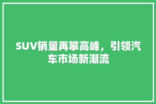SUV销量再攀高峰，引领汽车市场新潮流