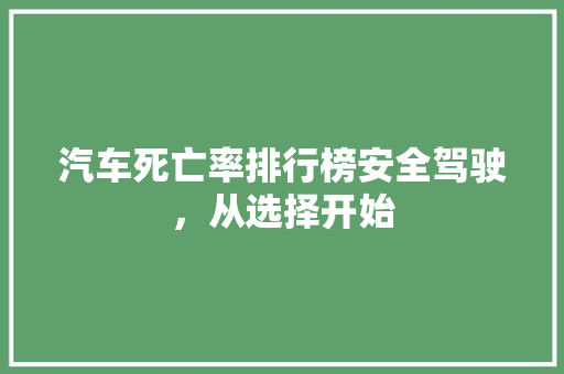 汽车死亡率排行榜安全驾驶，从选择开始
