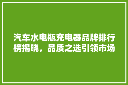 汽车水电瓶充电器品牌排行榜揭晓，品质之选引领市场潮流