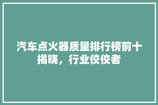 汽车点火器质量排行榜前十揭晓，行业佼佼者