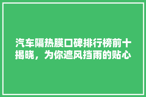 汽车隔热膜口碑排行榜前十揭晓，为你遮风挡雨的贴心守护者