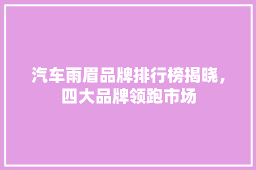 汽车雨眉品牌排行榜揭晓，四大品牌领跑市场