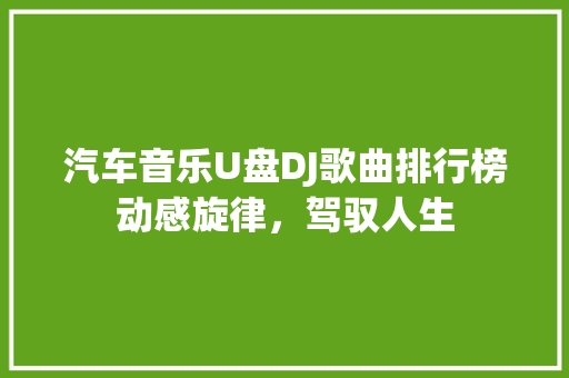 汽车音乐U盘DJ歌曲排行榜动感旋律，驾驭人生