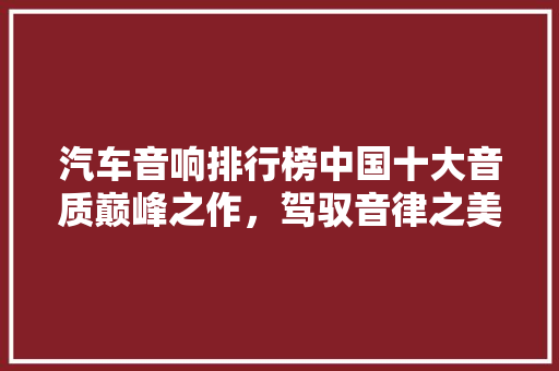 汽车音响排行榜中国十大音质巅峰之作，驾驭音律之美