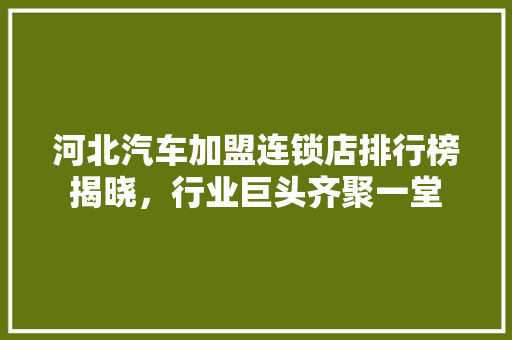 河北汽车加盟连锁店排行榜揭晓，行业巨头齐聚一堂