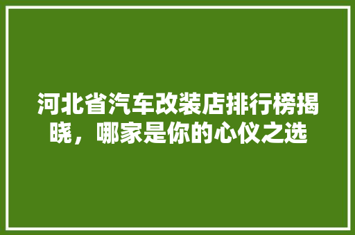 河北省汽车改装店排行榜揭晓，哪家是你的心仪之选