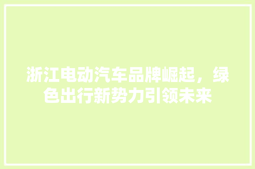 浙江电动汽车品牌崛起，绿色出行新势力引领未来