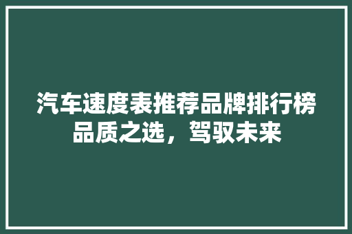 汽车速度表推荐品牌排行榜品质之选，驾驭未来