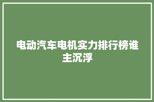 电动汽车电机实力排行榜谁主沉浮