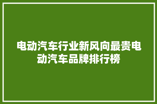 电动汽车行业新风向最贵电动汽车品牌排行榜