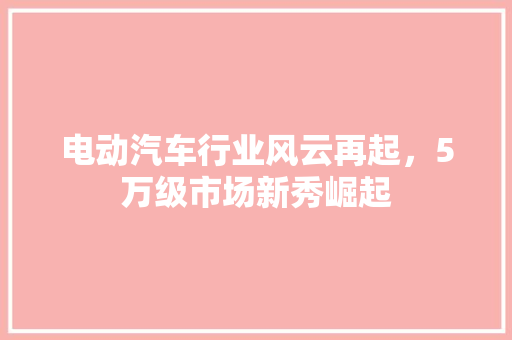 电动汽车行业风云再起，5万级市场新秀崛起