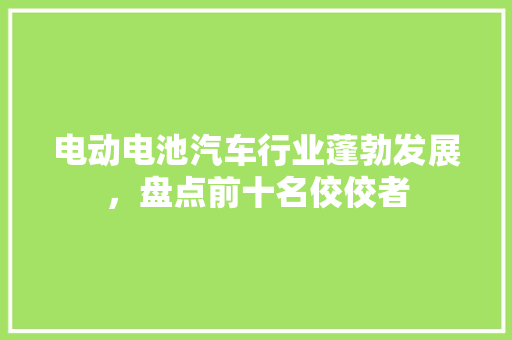 电动电池汽车行业蓬勃发展，盘点前十名佼佼者