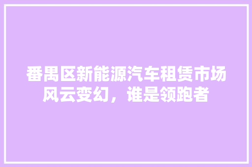 番禺区新能源汽车租赁市场风云变幻，谁是领跑者