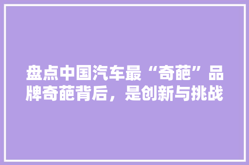 盘点中国汽车最“奇葩”品牌奇葩背后，是创新与挑战的交响曲