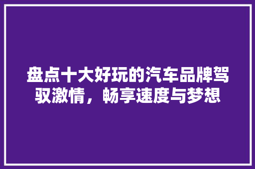 盘点十大好玩的汽车品牌驾驭激情，畅享速度与梦想