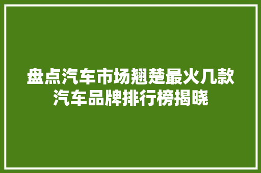 盘点汽车市场翘楚最火几款汽车品牌排行榜揭晓