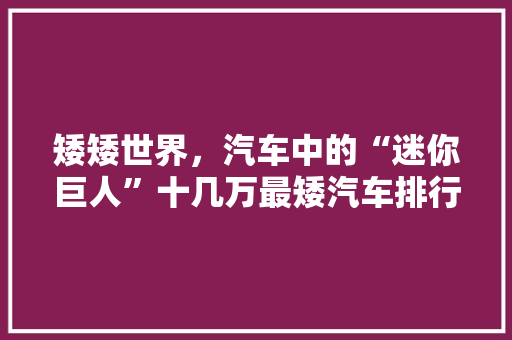 矮矮世界，汽车中的“迷你巨人”十几万最矮汽车排行榜