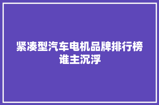 紧凑型汽车电机品牌排行榜谁主沉浮