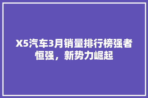X5汽车3月销量排行榜强者恒强，新势力崛起