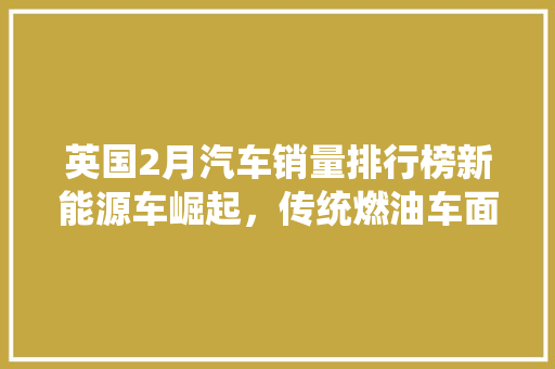 英国2月汽车销量排行榜新能源车崛起，传统燃油车面临挑战