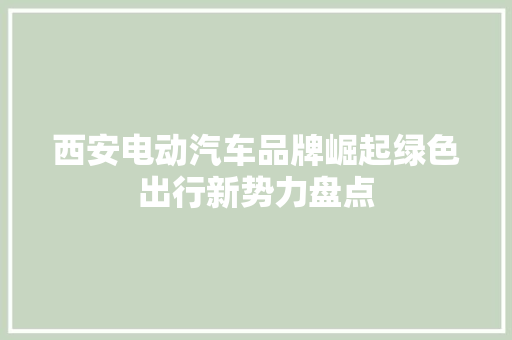 西安电动汽车品牌崛起绿色出行新势力盘点