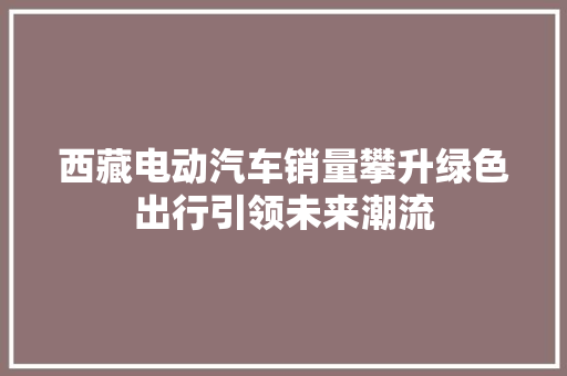 西藏电动汽车销量攀升绿色出行引领未来潮流