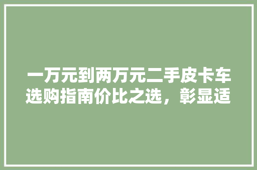一万元到两万元二手皮卡车选购指南价比之选，彰显适用与时尚