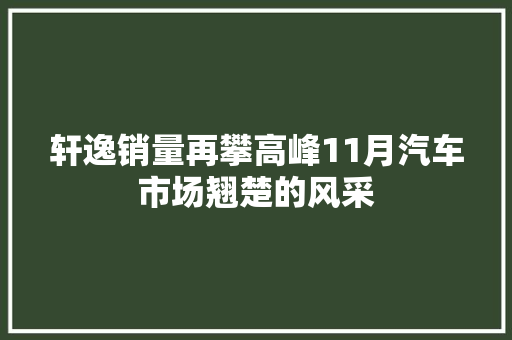 轩逸销量再攀高峰11月汽车市场翘楚的风采