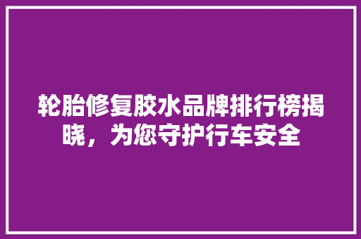 轮胎修复胶水品牌排行榜揭晓，为您守护行车安全