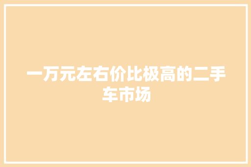 一万元左右价比极高的二手车市场