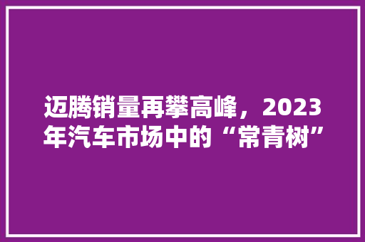 迈腾销量再攀高峰，2023年汽车市场中的“常青树”