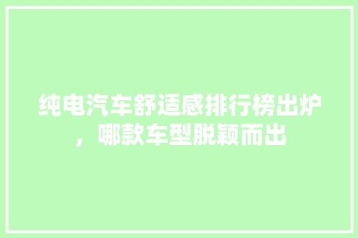 纯电汽车舒适感排行榜出炉，哪款车型脱颖而出