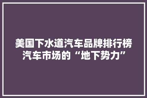 美国下水道汽车品牌排行榜汽车市场的“地下势力”